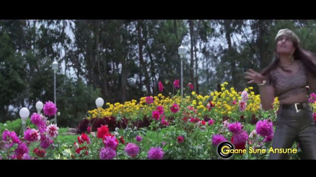 Yeh Dilwalo Ki Basti Hai / Ram Shankar, Preeti Uttam / Shera 1999 HD Songs / Mithun Chakraborty.