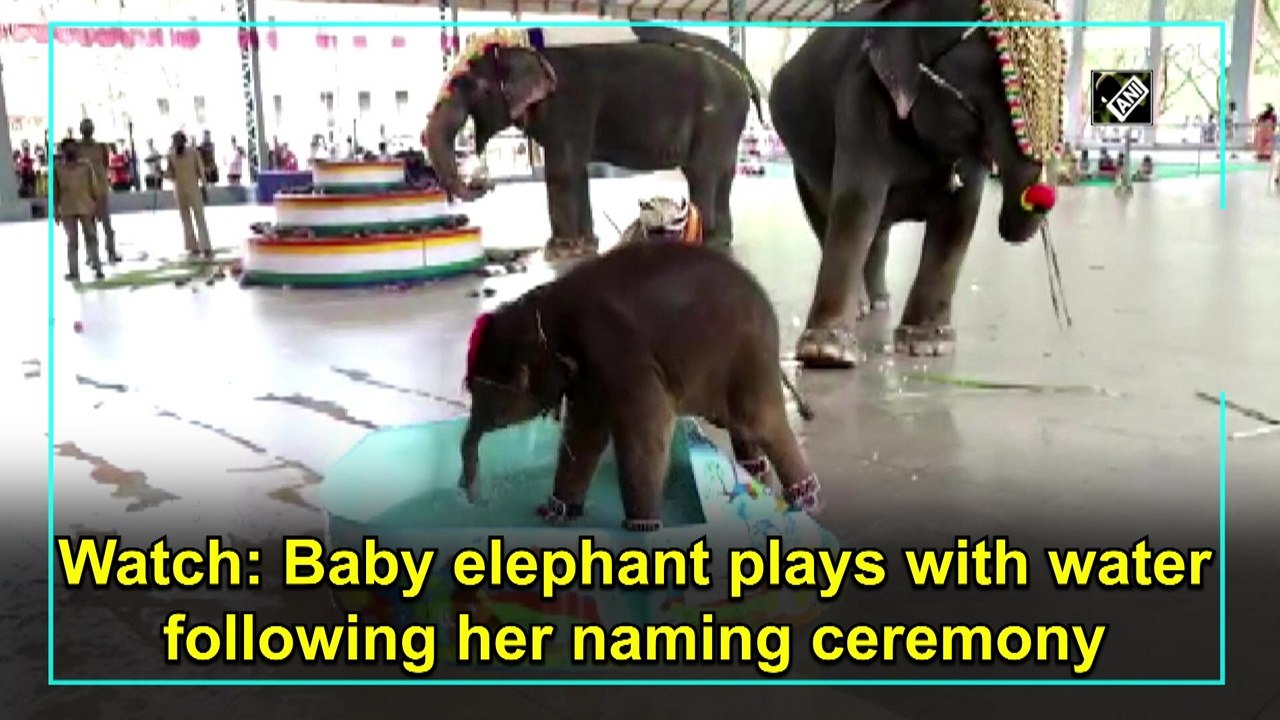 Watch: Baby elephant plays with water following her naming ceremony in Dakshina Kannada