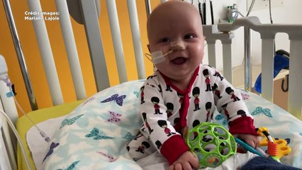 CH 31 Aout TOPO Suivi Miro 1 an 2020-08-31