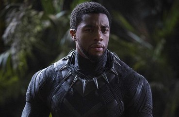 Fans want Chadwick Boseman statue erected