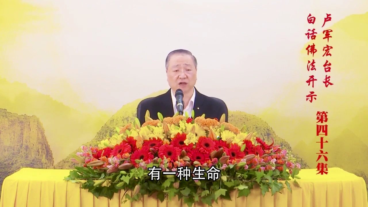 卢台长【第46集】【观法无我 不落因果】 卢军宏台长 白话佛法开示 2020年4月18日（更新文件2）