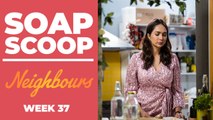 Neighbours Soap Scoop! Dipi worries over Shane's absence