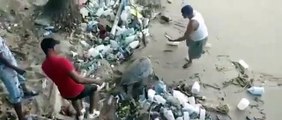 Pescadores  rescatan y  llevan hasta el mar  tortuga , en playa de Santo Domingo