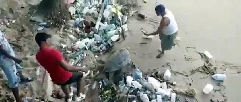 Pescadores rescatan y llevan hasta el mar tortuga , en playa de Santo Domingo