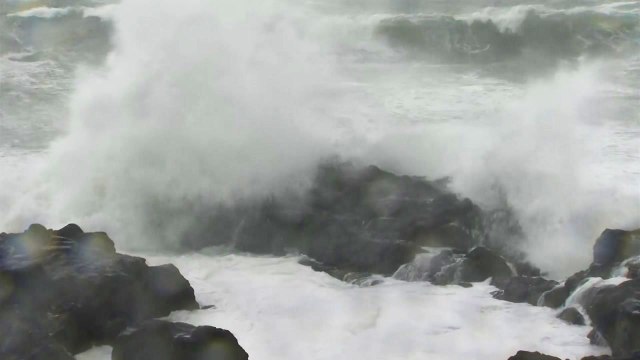 [날씨] '매우 강한' 태풍 마이삭 북상...태풍 영향 제주 비 / YTN