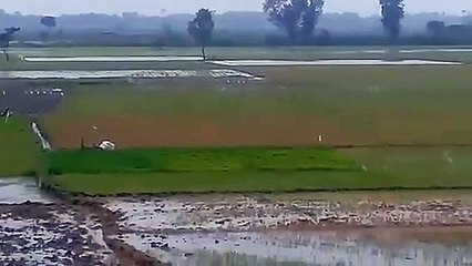 The most beautiful and rural life scene of Bangladesh