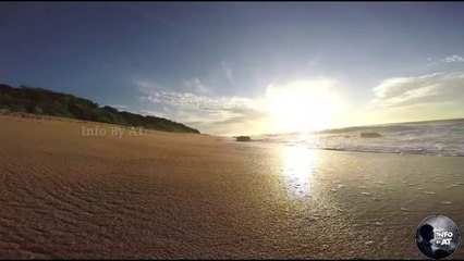 உலகில் உள்ள 5 விசித்திரமான கடற்கரைகள் | Top 5 Most Unusual Beaches in the World