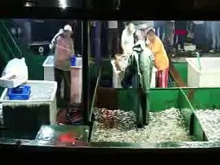 Sezonun ilk balık avı bereketli geçti