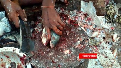 Amazing Tilapia Fish Cutting | Unique Fish Cutting