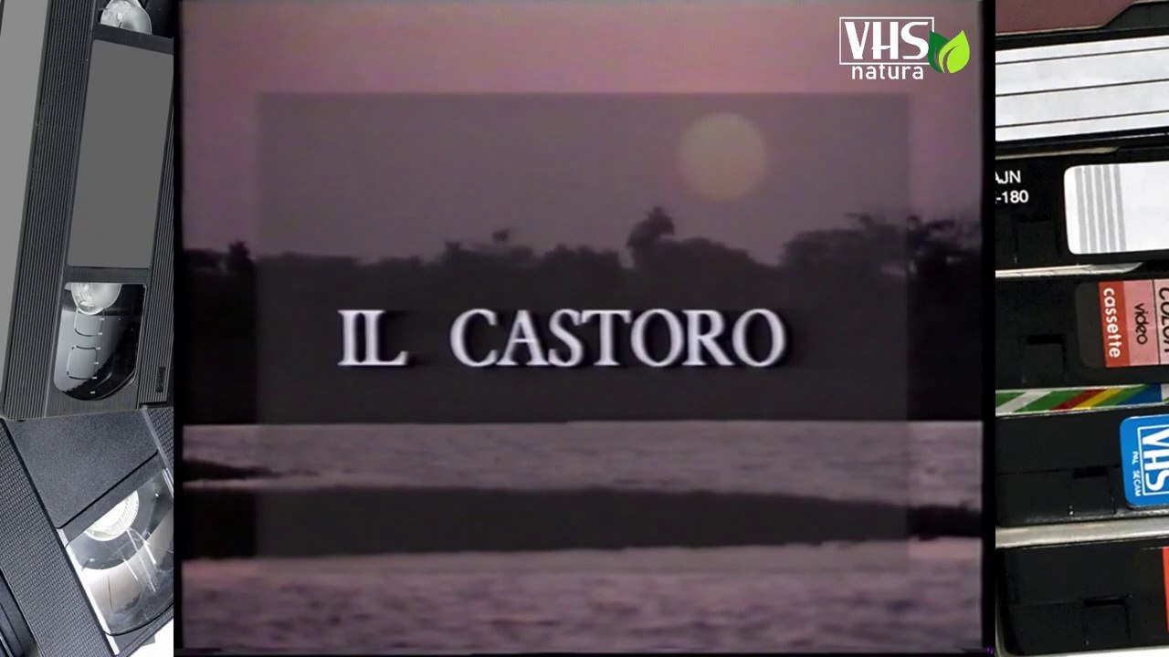 IL CASTORO