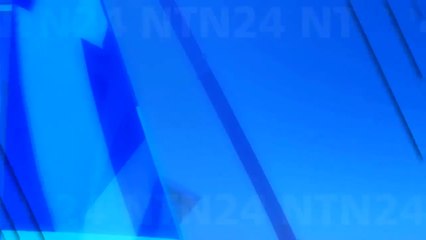 Elefantes en Tailandia siguen enfrentando tráfico ilegal y maltrato