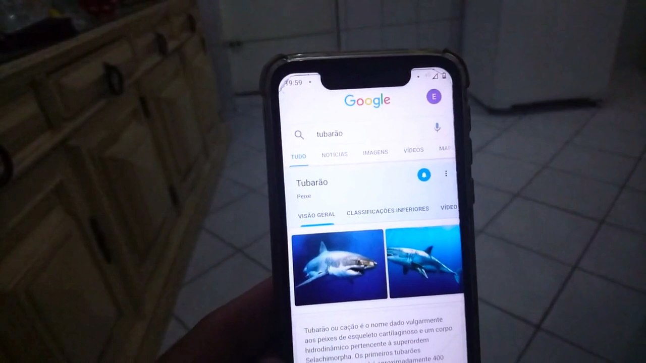 Como encontrar animais e objetos 3D no Google