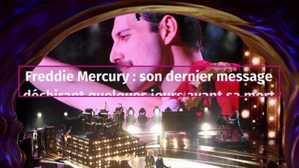 Freddie Mercury : son dernier message déchirant quelques jours avant sa mort