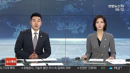 외교부, 추미애 딸 비자문의 받아…일반적 설명 해줘