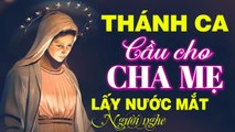 TUYỆT ĐỈNH THÁNH CA LẤY NƯỚC MẮT NGƯỜI NGHE - Nhạc Thánh Ca Cầu Cho Cha Mẹ 2020