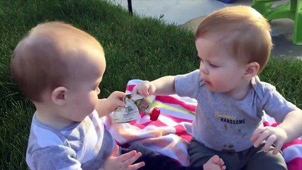 Funny Twins Baby Arguing Over Everything