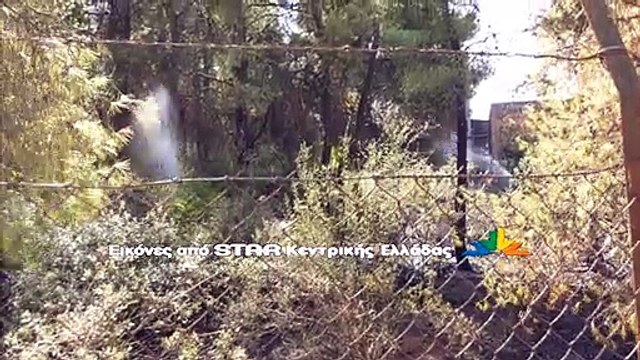 Μεγάλη κινητοποίηση για φωτιά στα Σφαγεία Λαμίας