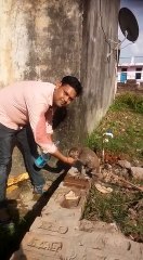 भूख-प्यास से तड़प रहे बंदर को आरक्षी सुजीत कुमार ने खिलाया खाना पानी