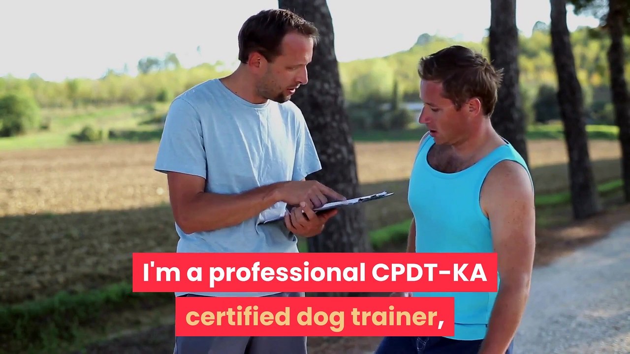 brain-training-for-dogs-a-unique-training-course-for-dogs