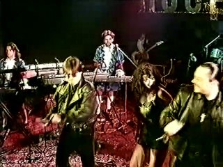 Sasa Popovic, Knez i Beki Bekic - Ej, od kad sam se rodio - LIVE - Poselo 1995