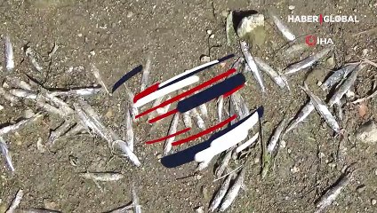 Porsuk Barajı'nda endişelendiren görüntü