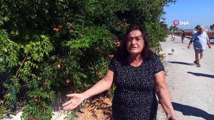 - Arıtma tesisi bahçesine kaçak fosseptik çukuru açıldığı iddiası