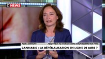 Dépénalisation du cannabis : «Il faut se focaliser sur les vraies filières» défend Alexia Germont, adjointe LR à la mairie du 15ème arrondissement de Paris