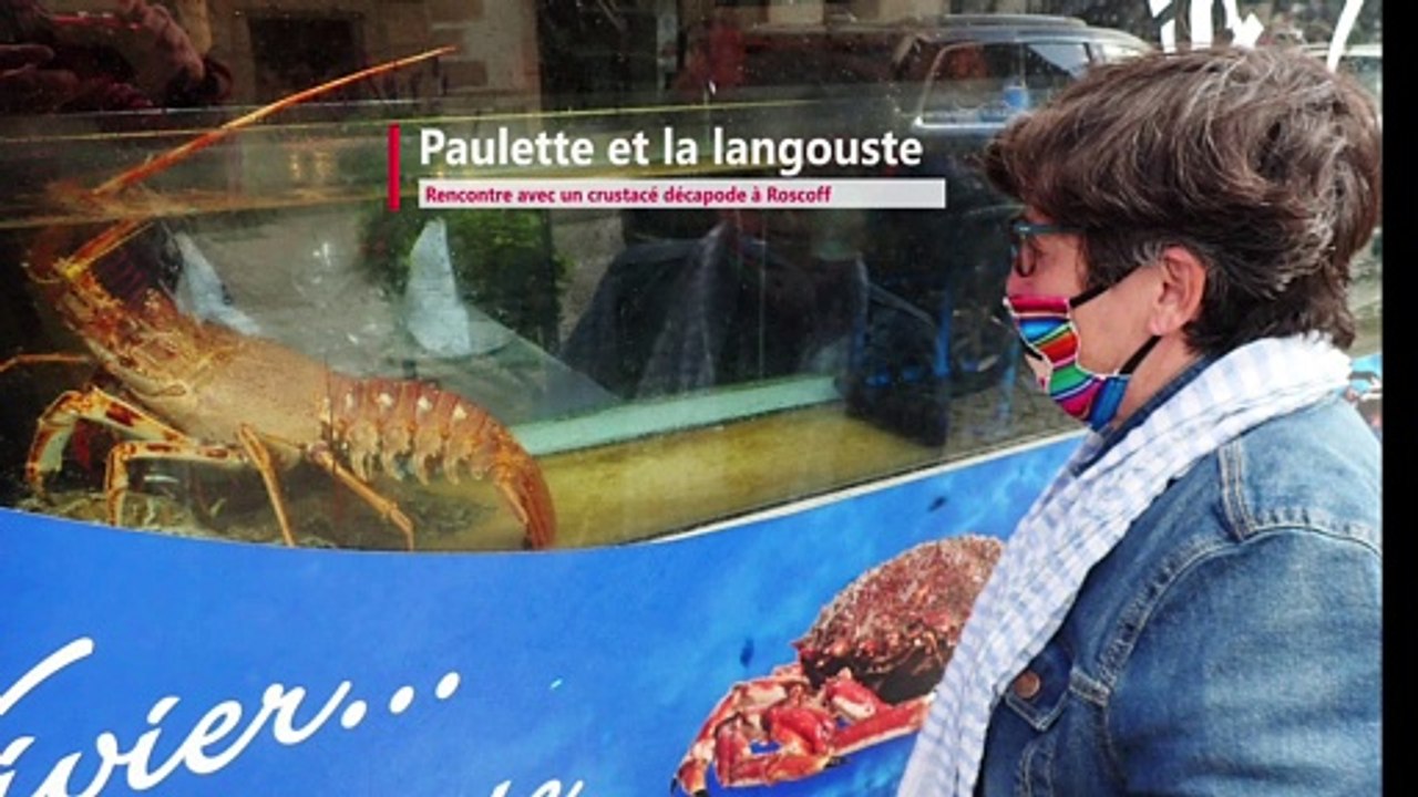 Polo et la langouste
