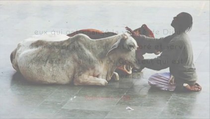 Reconnaître les fausses doctrines