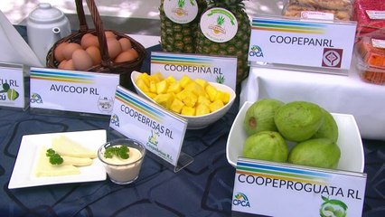 bd-aporte-de-las-cooperativas-a-la-vida-de-los-costarricenses-010920