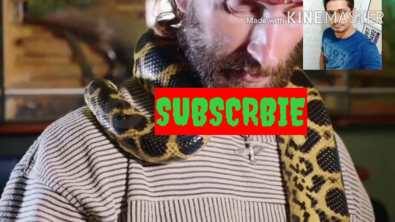 Snake video