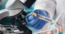 Covid-19 : des scientifiques du CNRS travaillent sur un spray nasal capable de « tromper » le virus