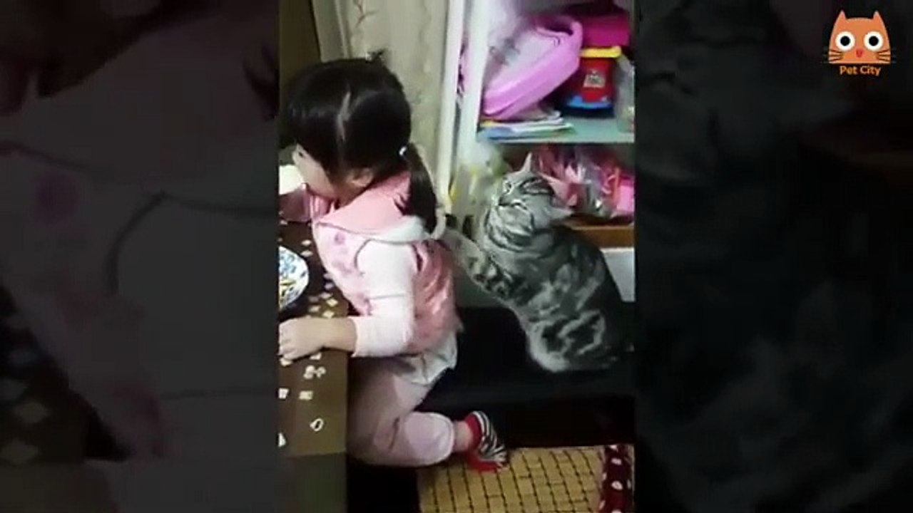 Videos de Risa Animales Perros y Gatos Chistosos 2020