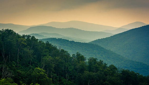 Have You Ever Wondered Why the Blue Ridge Mountains Are Blue?