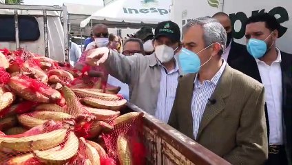 Inespre inicia ventas de plátanos barahoneros a 7 pesos la unidad