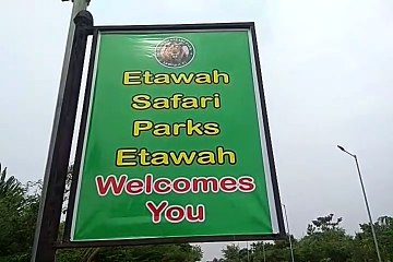 आज से जनता के लिए खोला गया सफारी पार्क