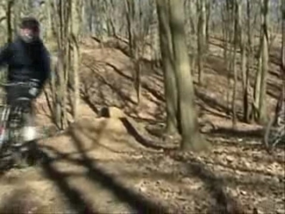 Bike park of Metz Forest