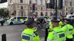 Extinction Rebellion protest takes place in London's Parliament Square under police presence