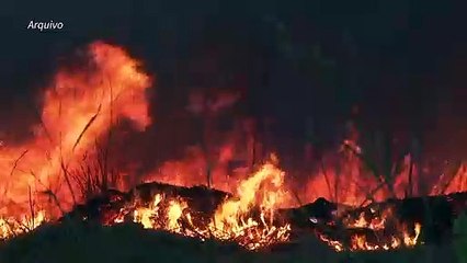 Pequena redução nos incêndios na Amazônia em agosto