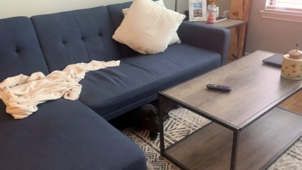 Dog Gets Herself Stuck Under New Couch