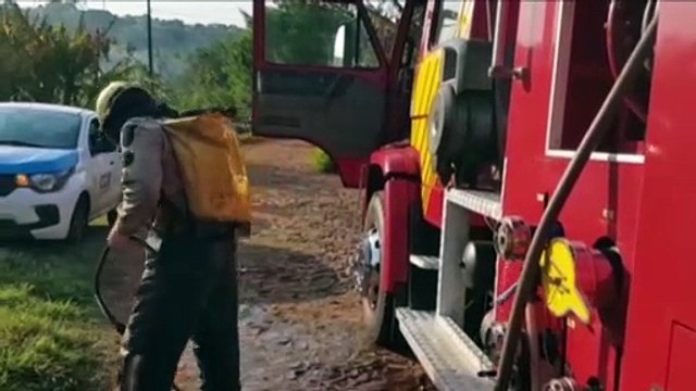 Extensa área de vegetação pega fogo no Bairro Floresta