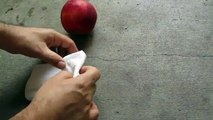 Como Germinar las Semillas de Manzana