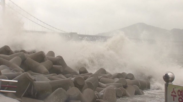 [날씨] 강력한 태풍 '마이삭' 북상...제주 해상 태풍특보 / YTN