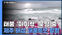 [날씨] '마이삭' 북상 중...제주 해상 태풍특보, 이 시각 제주는? / YTN