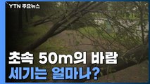 '마이삭' 강풍 예고...초속 50m 바람 위력 '상상초월' / YTN