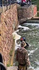 Rescuer Attempts to Rescue Elusive Duck