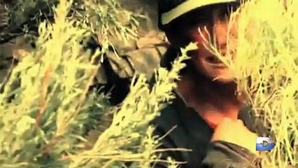 Dévoré vivant : Ours enragés