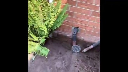 House Termite Treatment In Melbourne