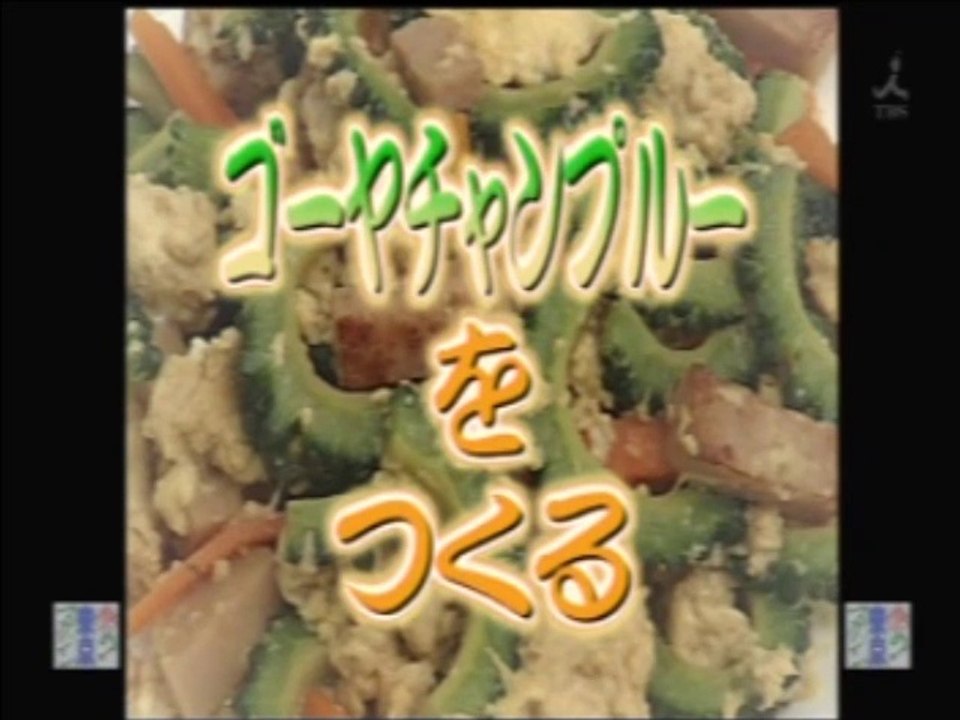 YT未公開　やってトライ　 ゴーヤチャンプルーをつくる　2009/06/21　