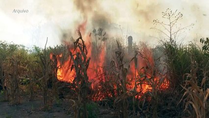 Ceticismo europeu sobre acordo com o Mercosul